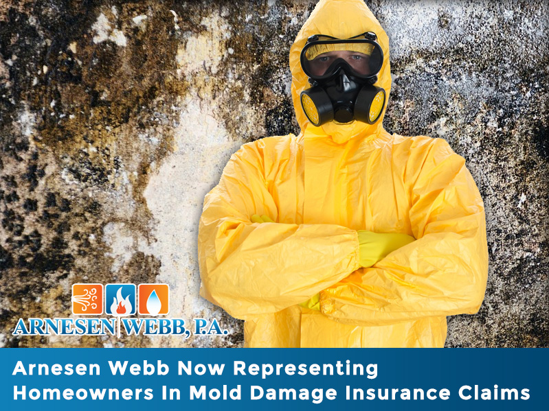 Mold Damage Insurance Claims
