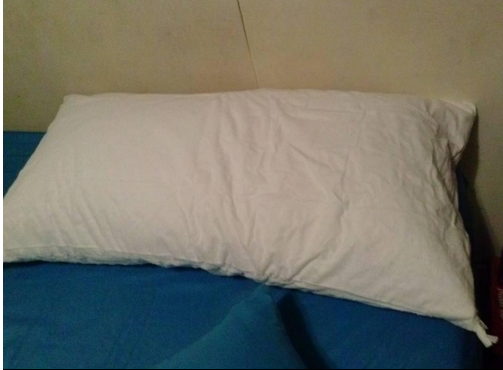 pillow protector