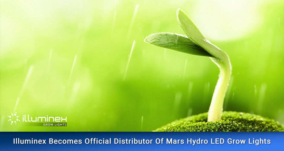 Mars Hydro LED Grow Lights