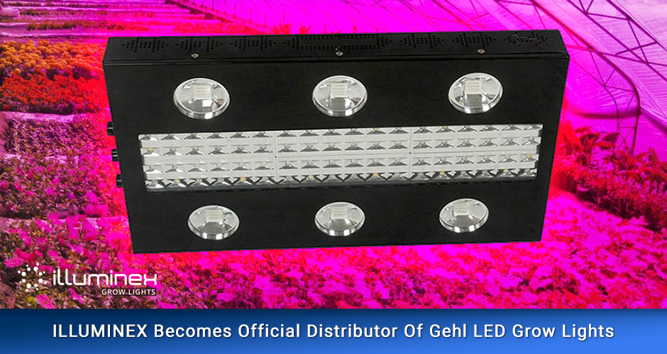 Gehl LED Grow Lights