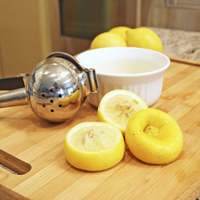 Lemon Squeezer Manual Presser