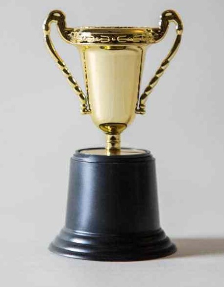 AtlantaNewsAndTalk.Com - TROY Award
