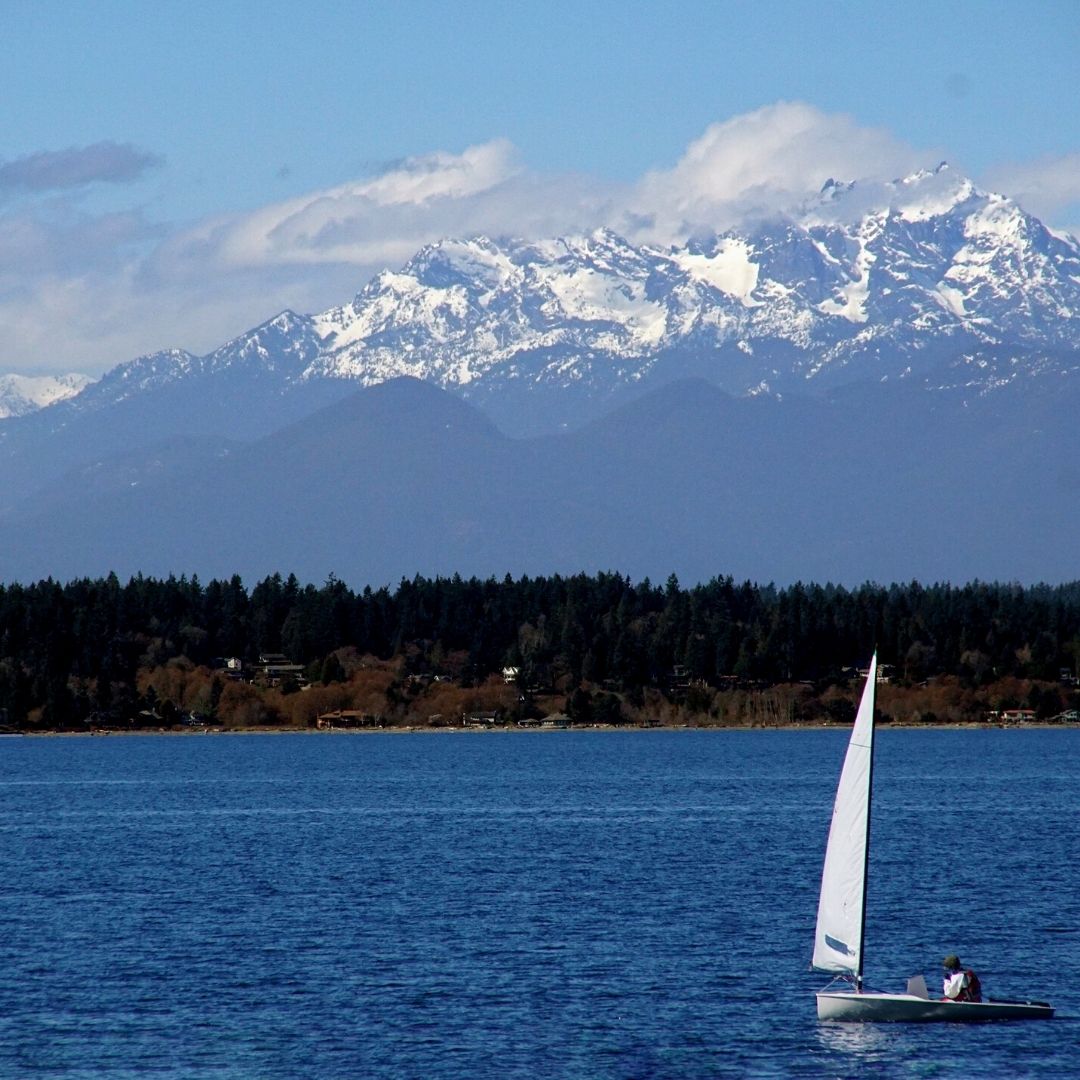 Seattle sewer repair