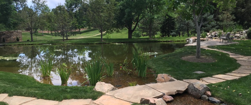 Natural Swimming Pond