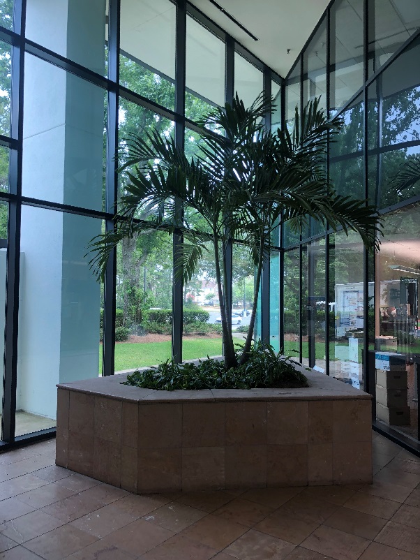 office plant care services in pensacola, fl