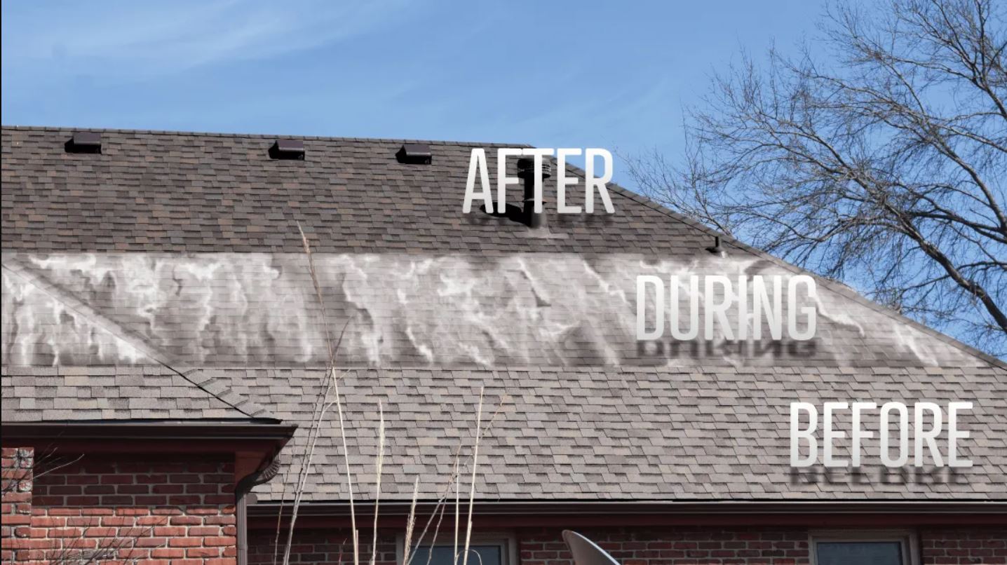 Roof Rejuvenation Company