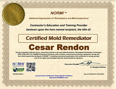 CCSS NORMI Mold Remediation Certification