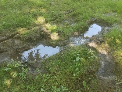 Cause of Sewer Line