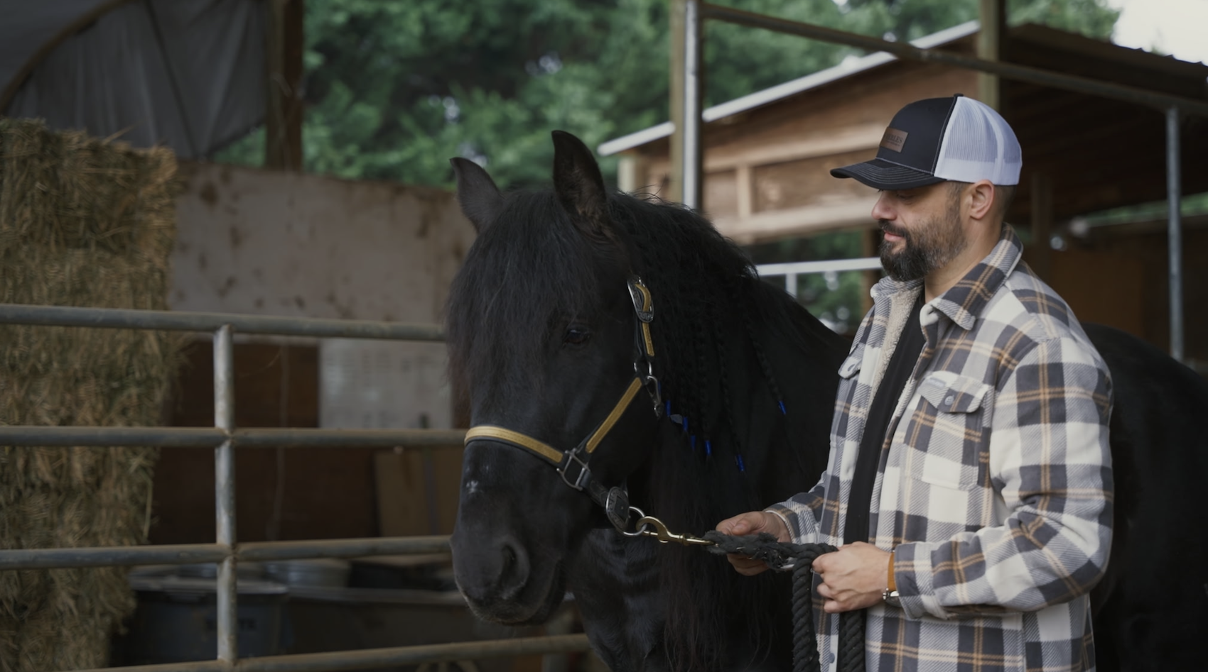 Albendamax Goes on Sale Through Southern Livestock as Andrew Hamilton Pursues Billion-Dollar Animal-Health Ambition