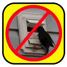 Dryer Vent Bird Guard - Stops Birds from Nesting In Your Dryer Vent and Bathroom Exhaust Vent