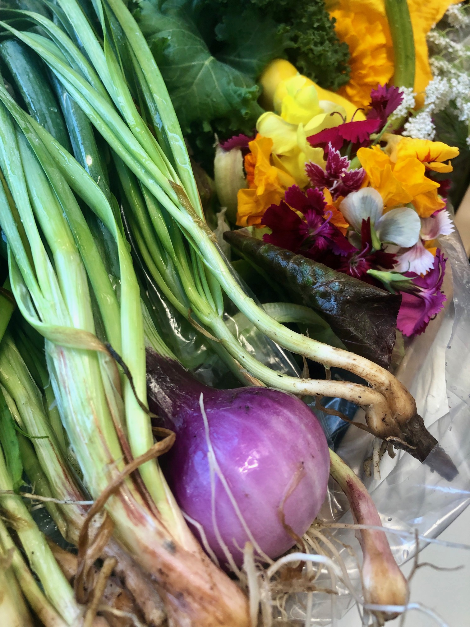 scottsdale golf club