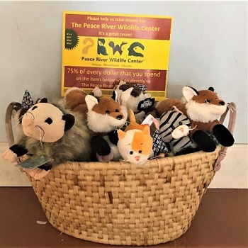 shipping store Punta Gorda