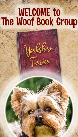 National Yorkshire Terrier Day at TheWoofBookGroup.com