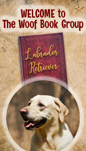 National Labrador Retriever Day on TheWoofBookGroup.Com