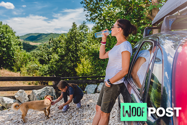 WoofPost.Com Road Trips With Your Dog