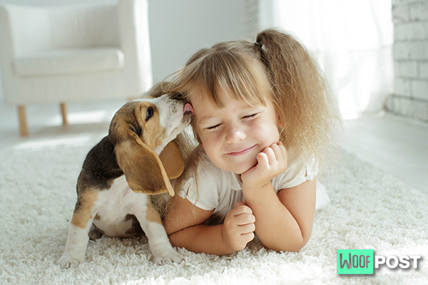 WoofPost.Com - Top Reasons Why Dogs Love Humans So Much