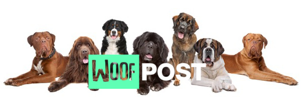 WoofPost.Com - Big Dogs Rock