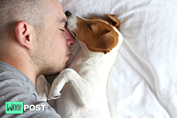 WoofPost.Com - YOUR DOG KNOWS WHEN YOU ARE SICK