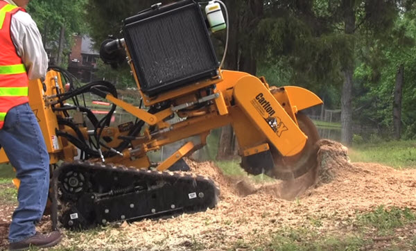 tree stump grinding and removal