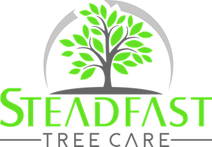 Steadfast Tree Care Ashland