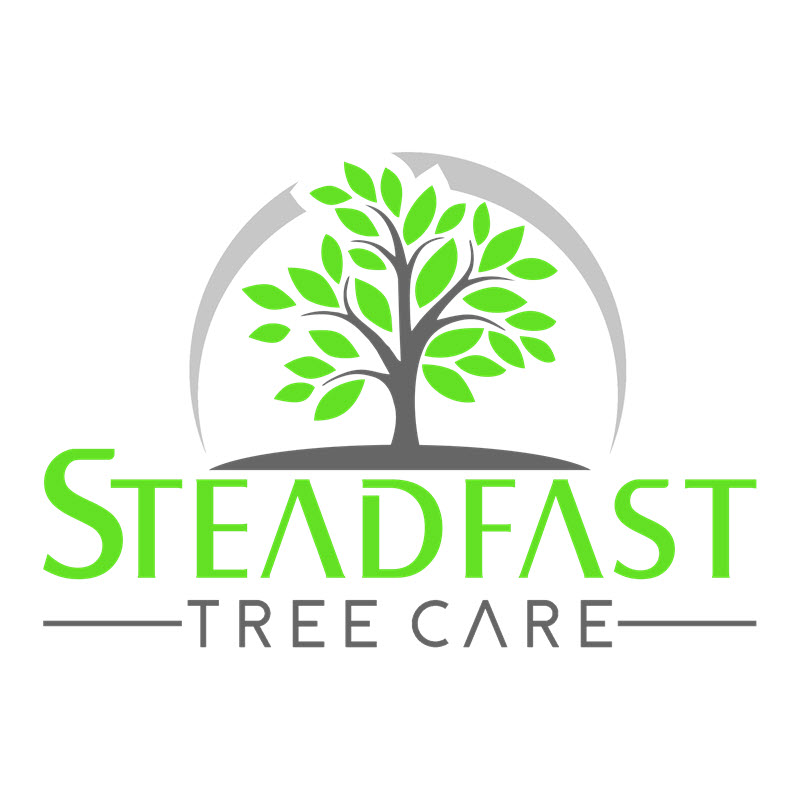 Steadfast Tree Care Bowling Green
