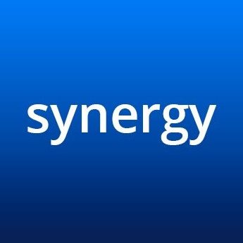 Synergy Consulting Group
