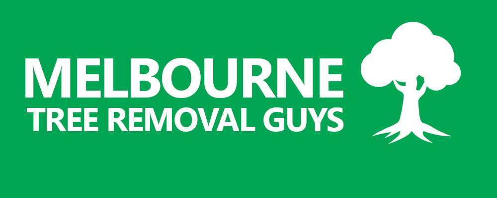 Melbourne Tree Removal Guys