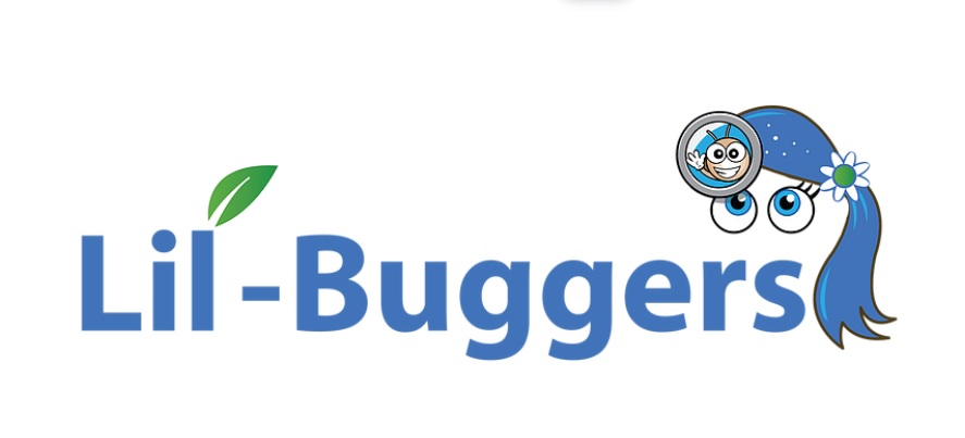 Lil-Buggers Head Lice Treatment