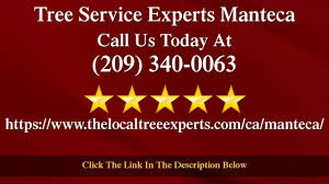 Tree Service Experts Manteca