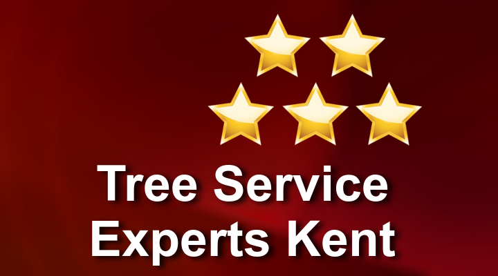 Tree Service Experts Kent