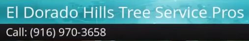 El Dorado Hills Tree Service Pros