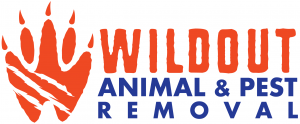 Wildout Animal & Pest Removal Orlando