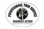 Tree Experts Orlando