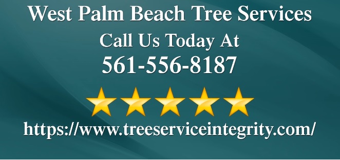 West Palm Beach Tree Services