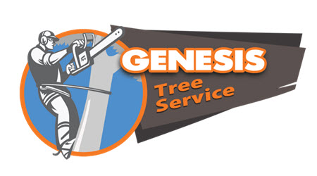 Genesis Tree Service Gainesville