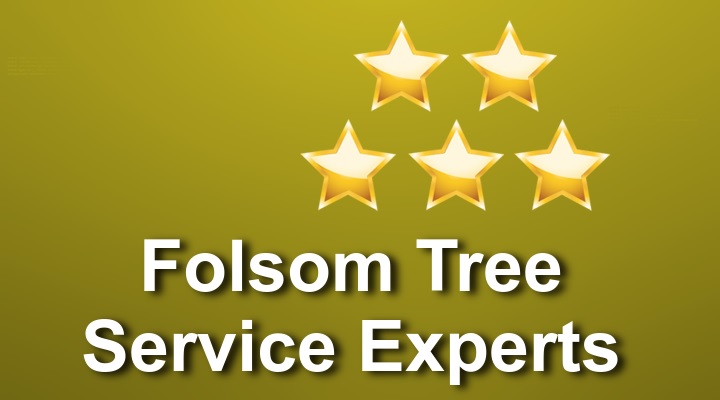 Folsom Tree Service Experts