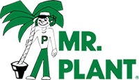 Mr. Plant