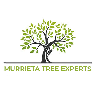 Murrieta Tree Experts