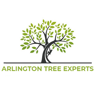 Arlington Tree Experts