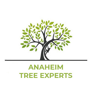 Anaheim Tree Experts