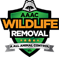 AAAC Wildlife Removal of Phoenix