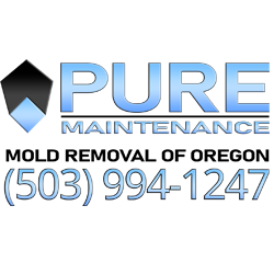 Pure Maintenance Oregon City