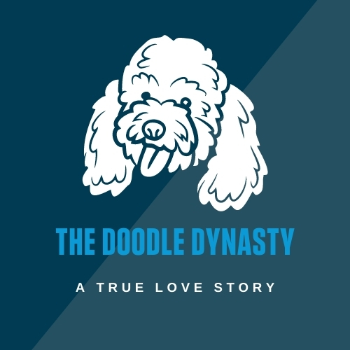 The Doodle Dynasty