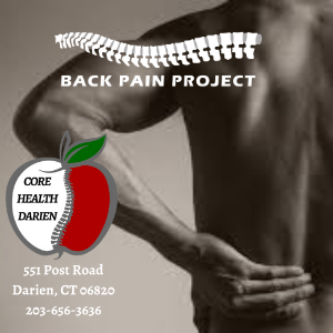 The Back Pain Project