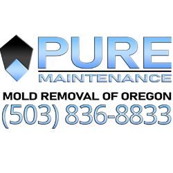 Pure Maintenance Beaverton