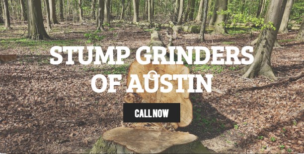 Stump Grinders of Austin