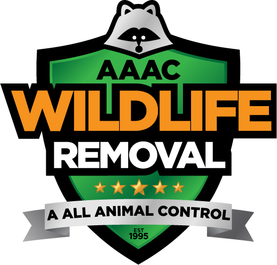 AAAC Wildlife Removal of Tampa Bay