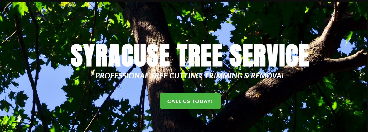 Syracuse Tree Care