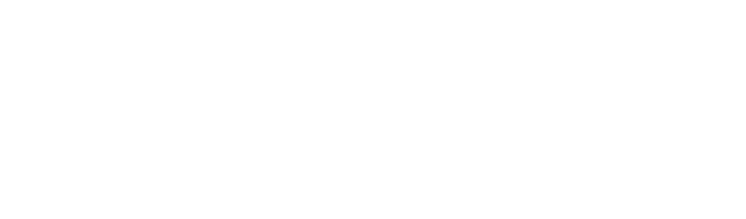 Cheyenne Foot & Ankle, Inc.