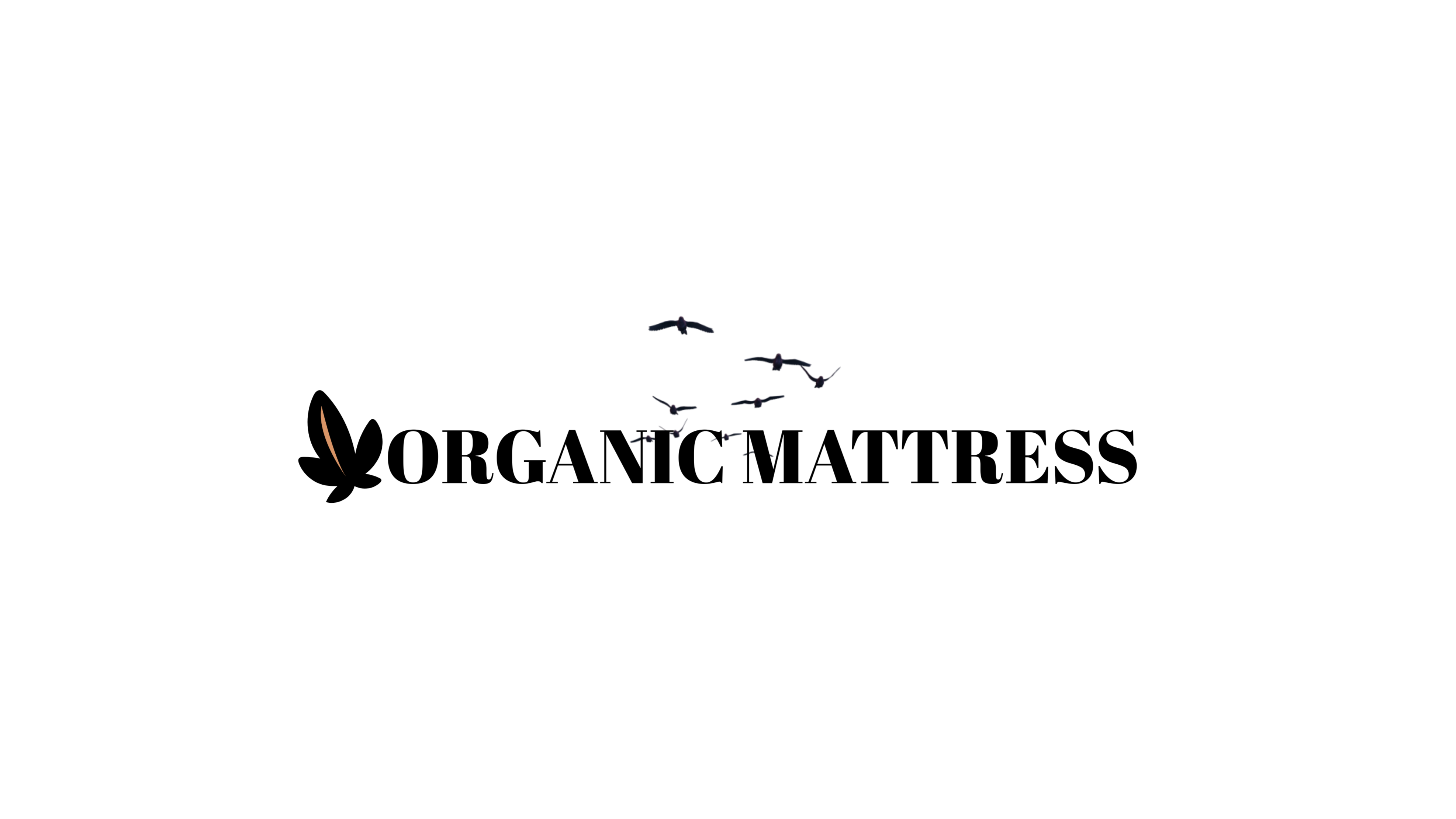 Organic Mattress